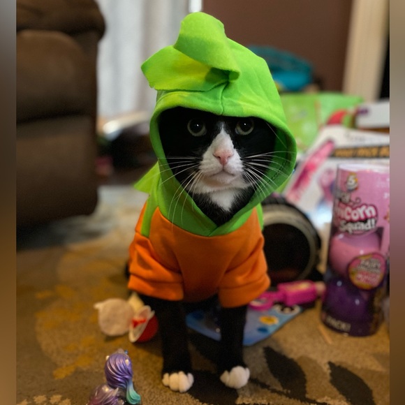 Pumpkin Halloween hooded pet costume - Medium - cat or small dog 🎃 - Picture 1 of 9